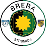 ব্রেরা স্ট্রুমিকা ইউ১৯