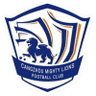 Cangzhou Mighty Lions