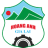 Hoang Anh Gia Lai U19