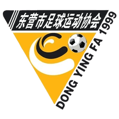 Dongying Team