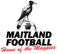 Maitland FC (w)