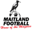 Maitland FC (w)