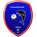 Dauphins Noirs