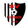 SV Feldbach