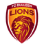 Singa Bulleen FC