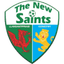 The New Saints (w)