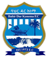 Bahir Dar Kenema FC