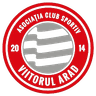 ACS Viitorul Arad