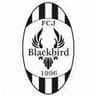 FC Jyvaskyla Blackbird