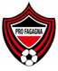 US Pro Fagagna