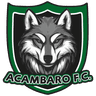 Acambaro FC