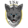 ZNK Radomlje (w)