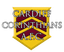 Cardiff Corinthians AFC