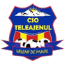 CSO Teleajenul Valeni de Munte