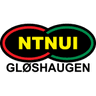 NTNUI