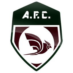 Flamengo de Arcoverde