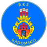RKS Radomsko