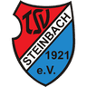 TSV Steinbach II