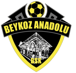 Tuzlaspor
