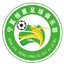 Shizuishan Hengxing Football Club U15