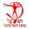 Hapoel Dalyat El Carmel