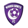 Wakiso Giants