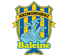 FC Baleine Shimonoseki