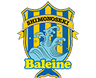 FC Baleine Shimonoseki