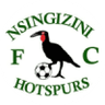 Nsingizini Hotspurs
