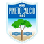 Asd Pineto Calcio