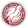Coomera Colts
