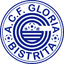 FC Gloria Bistrita