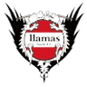 Llamas Kochi FC