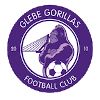 Glebe Gorillas FC