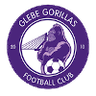 Glebe Gorillas FC
