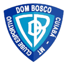 Dom Bosco MT Youth