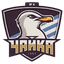 FK Chayka 2