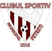 CSM Fetesti