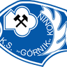 Gornik Konin