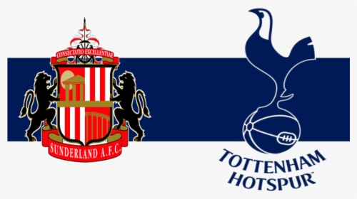 75% Premier League Win Rate This Season! Sunderland vs Tottenham Hotspur Result & Score Tips
