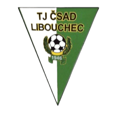 টি জে লিবৌচেক টি জে লিবৌচেক