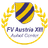 FV Austria XIII