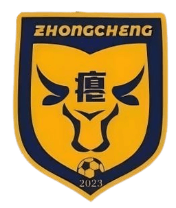 فريق كرة القدم في قرية تشونغتشينغ فريق كرة القدم في قرية تشونغتشينغ