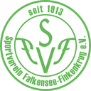 فالكينسي فينكنكروج فالكينسي فينكنكروج