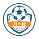 Shanghai Jinshanwei Bayi Village Football Team