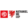 Copa de la Liga de Gales