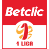 Liga 1 Polonesa