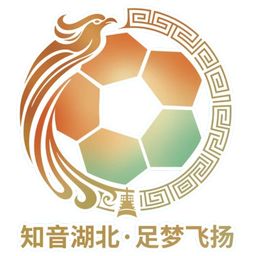 Liga de Futebol da Cidade de Hubei