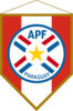 Copa do Paraguai Feminina