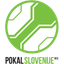 Slovenia Cup